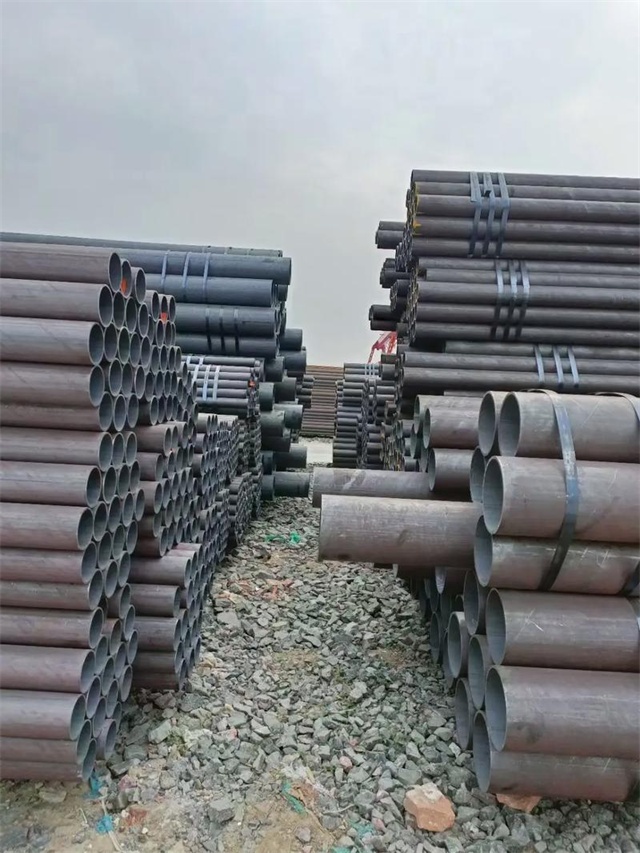 1768788933305589.jpg